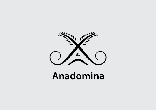 Anadomina