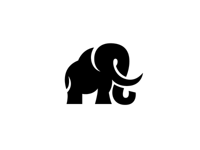 elephant_1x