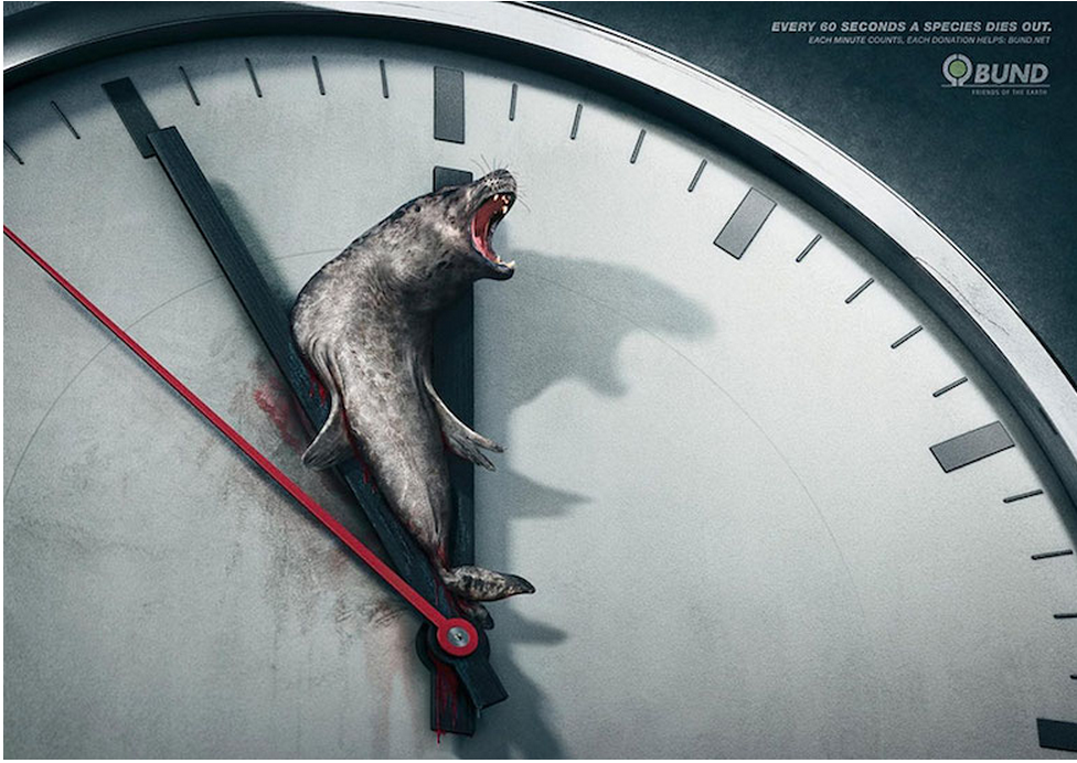 Creative Advertising - Every 60 seconds, a species dies out