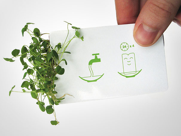 Creative Business Cards