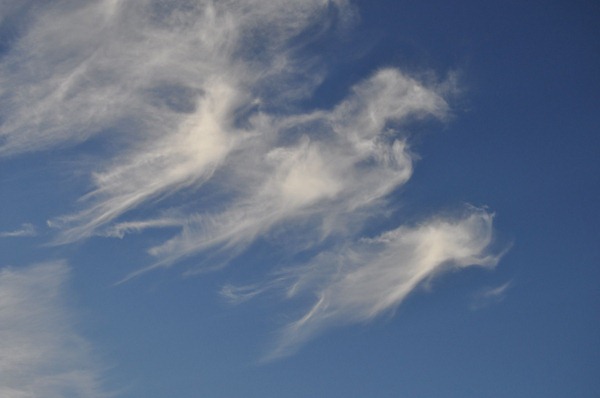 Cloud shaped like an eagle