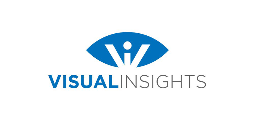 visual insight logo