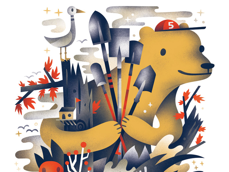 bear-dribbble