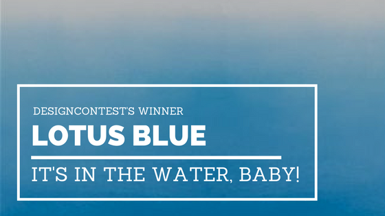 The Best Logo Design On Facebook’s Poll: Interview With LotusBlue