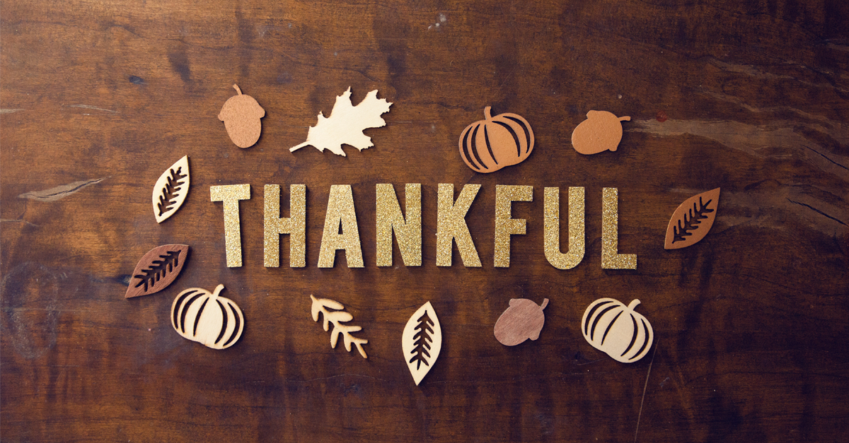 Turkey package: design collection for Thanksgiving
